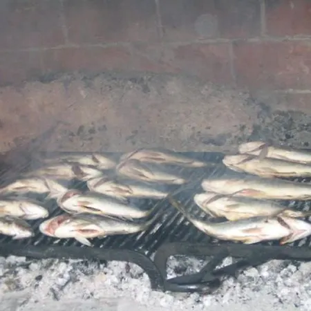 Topic Čiovo